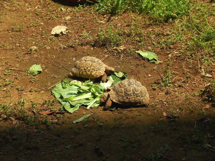 blog_import_50e3090fb1785